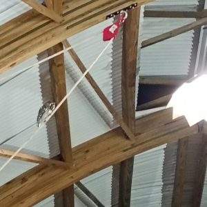 Inaugurando o Miniblog!